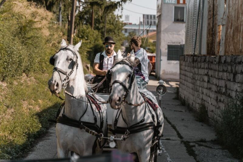 vienna-secrets-of-the-fiaker-horse-drawn-carriage-ride