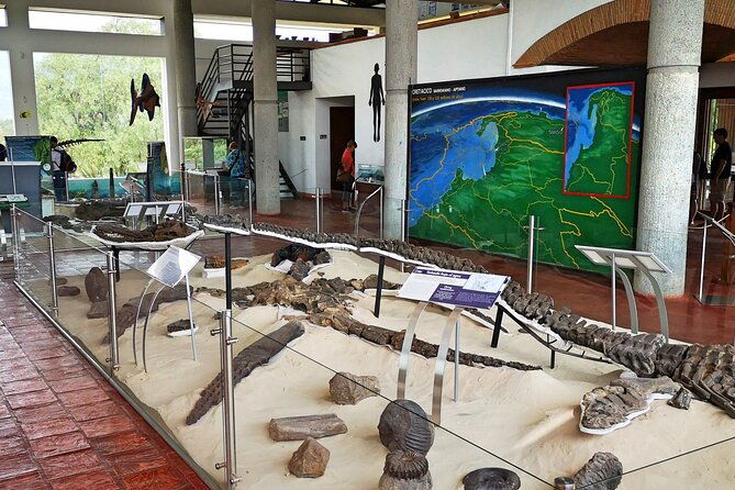 villa-de-leyva-2-day-private-tour-from-bogota-museums-fossils