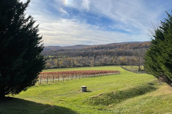 virginia-winery-excursion-by-luxury-vehicle-three-wineries