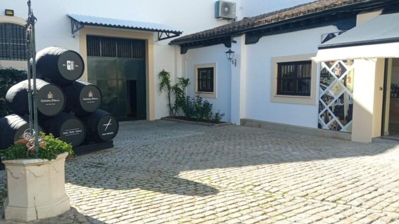 visit-a-century-old-winery-in-the-centre-of-jerez