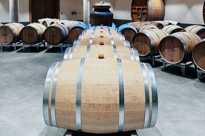 visit-saint-emilion-and-pomerolvineyards-lunch-and-tastings-included