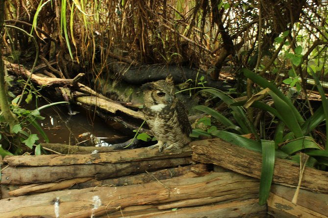 visit-to-la-reserva-biopark-private-tour-6-hrs