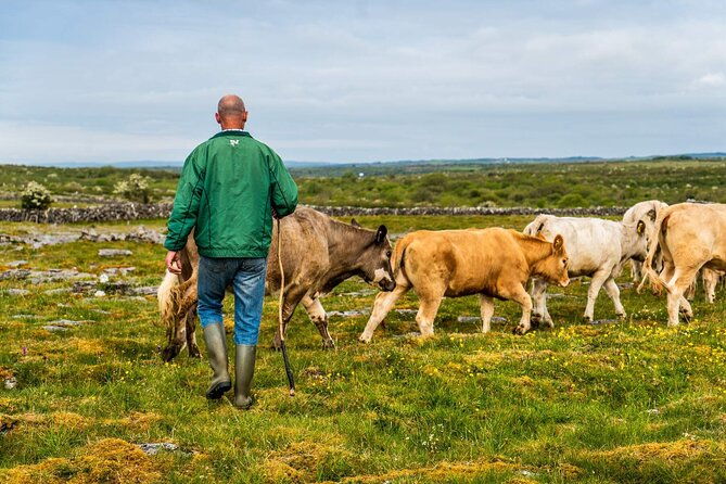 walking-in-the-burren-with-perfumery-visit-clare-guided-3-hours