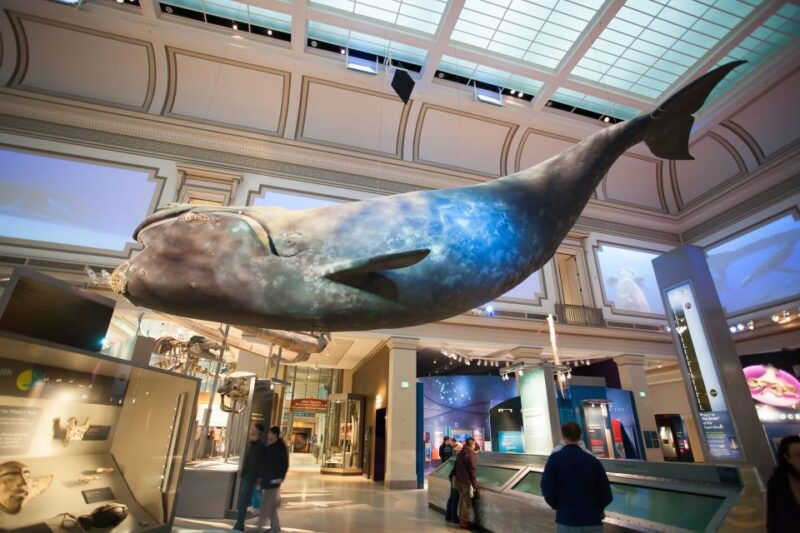 washington-dc-museum-of-natural-history-private-guided-tour