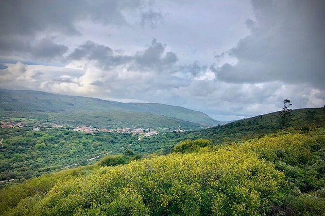 whispering-winds-and-curdled-dreams-from-the-mountains-to-table