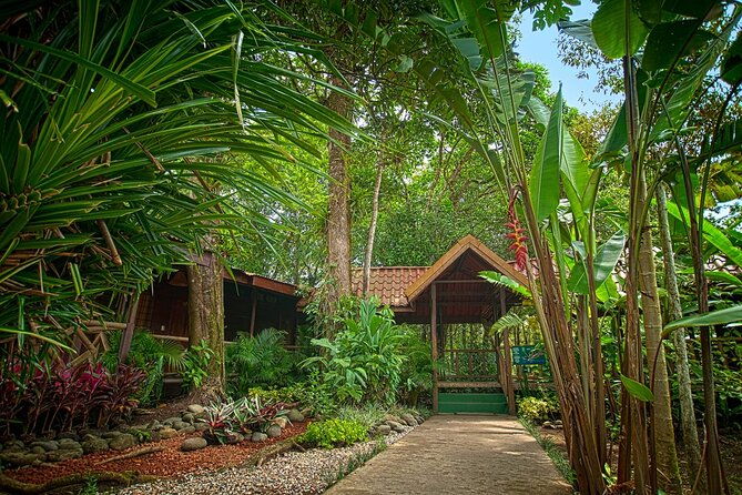 wild-costa-rica-best-destinations-in-costa-rica-for-8-days