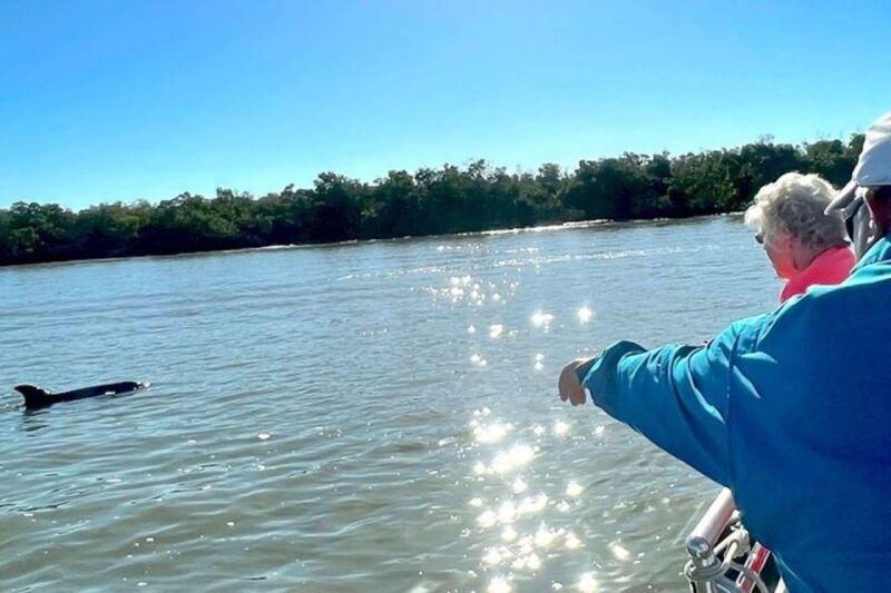 wild-dolphin-boat-tour
