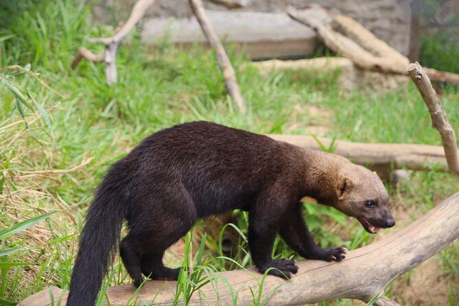wildlife-rescue-center-in-nature-reserve-near-santa-cruz