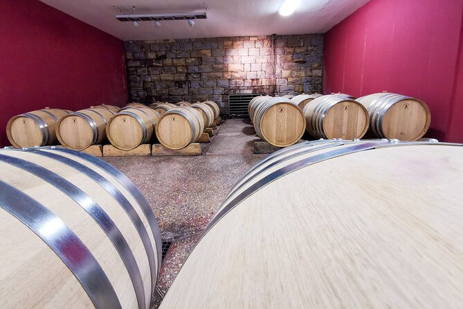 wine-degustation-in-the-heart-of-slovenian-istria