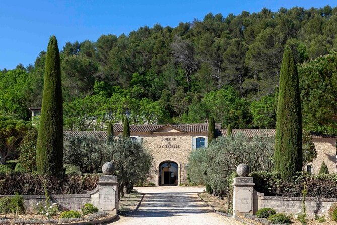 wine-of-the-luberon-by-e-bike-not-to-be-missed
