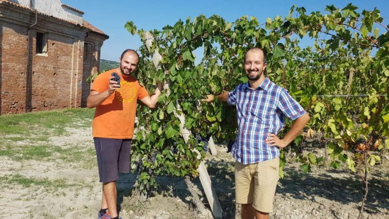 wine-tasting-of-monferrato-with-a-visit-to-the-winery