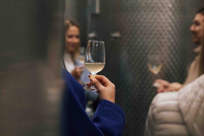wine-tasting-on-the-hills-of-bologna-in-dozza
