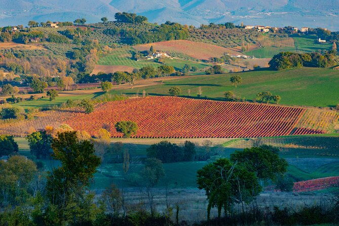 wine-tour-in-umbria-along-the-sagrantino-trail-with-light-lunch