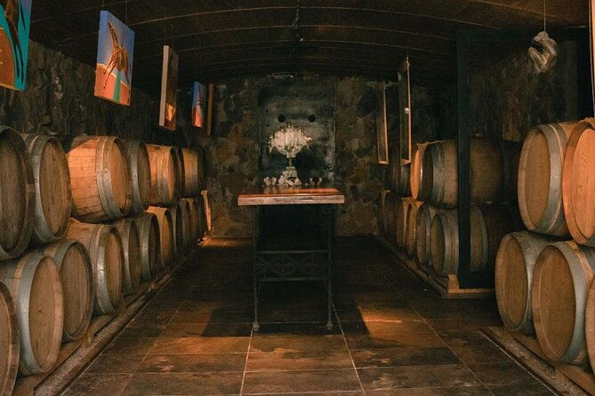 winery-the-enemy-argentine-roast-with-wine-private-transportation