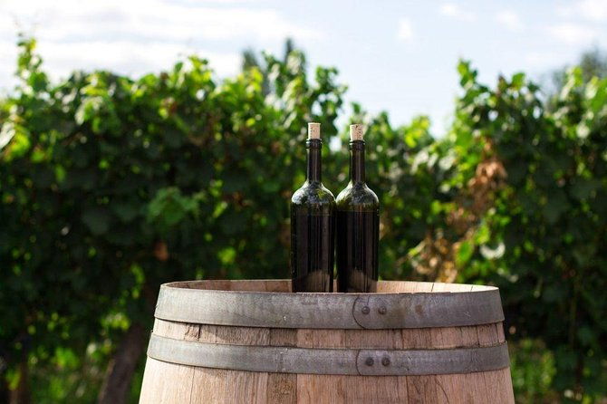 wines-of-wallachia-8-hours