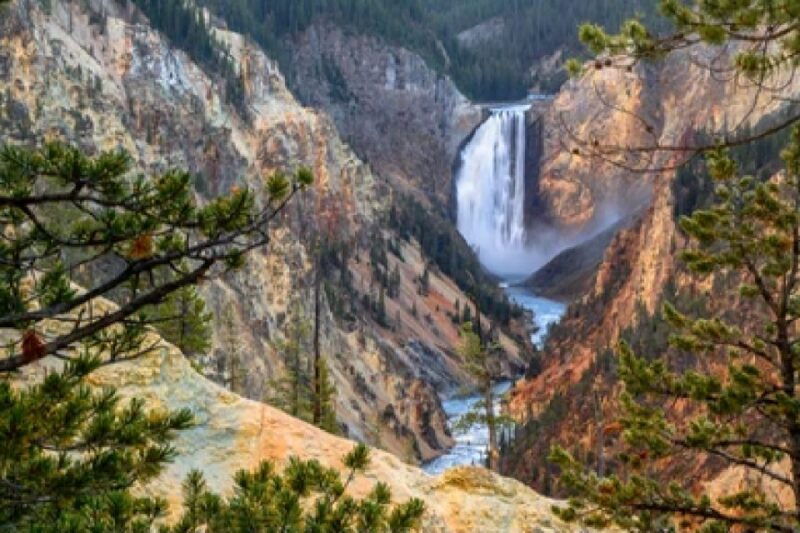 yellowstone-grand-tetons-4-day-3-night-wildlife-adventure