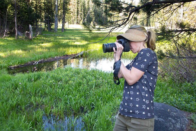 yosemite-full-day-private-tour