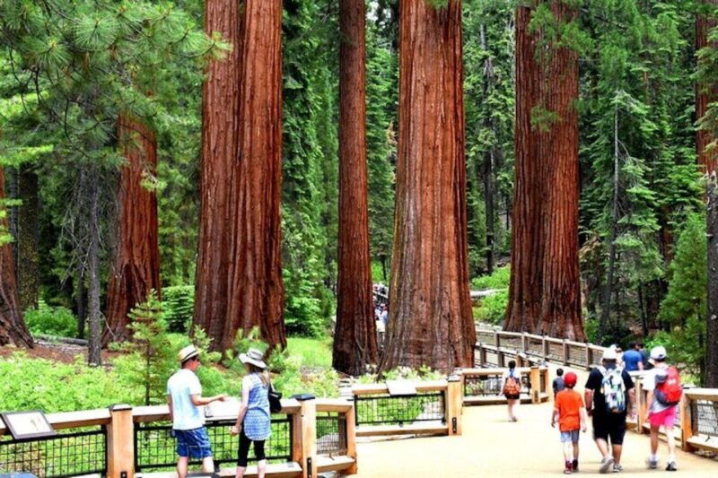 yosemite-full-day-tour-with-lunch-and-hotel-pick-up
