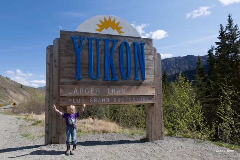 yukon-dogs-and-gold