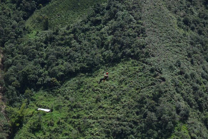 zipline-canopy-tour