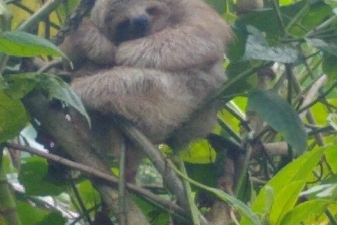5-activities-in-1-nature-and-wildlife-in-liberia