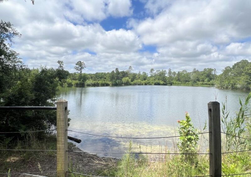5-hour-wilmington-river-to-sea-e-bike-tour