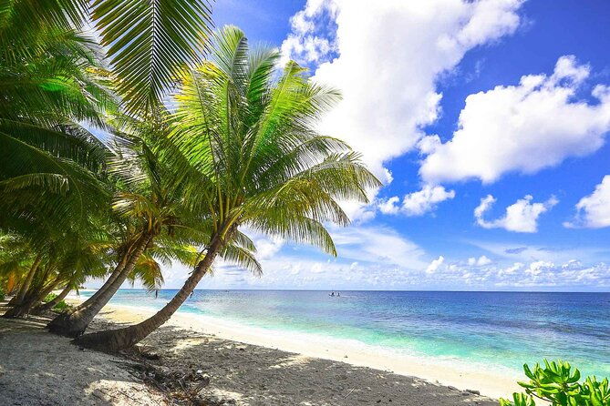 5-islands-tour-with-lunch-snorkeling-and-plankton
