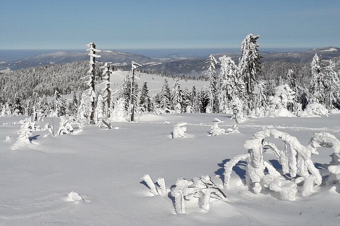 1-day-private-snowshoe-hike-in-the-gorce-mountains-near-krakow