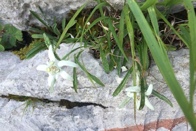 1-day-white-rocks-wilderness-vihoraski-trail-hike-from-zagreb