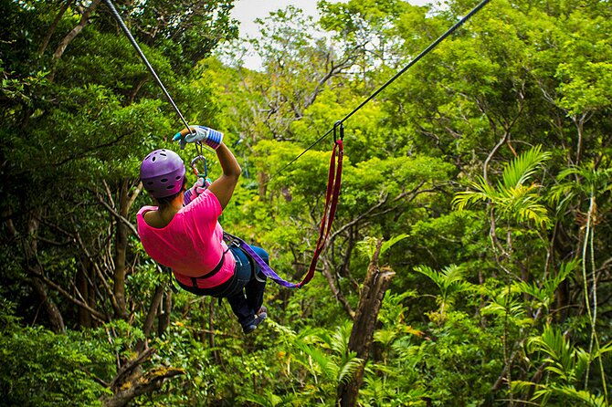2-day-private-tour-in-tambopata-amazon
