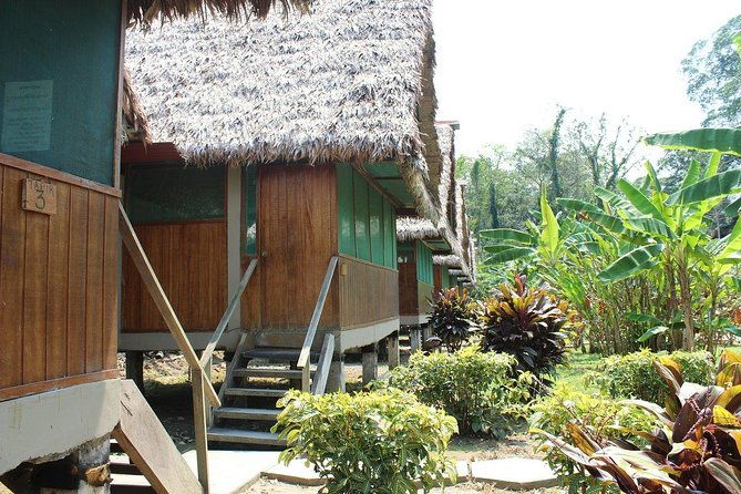 2-days-1-night-peruvian-tambopata-jungle