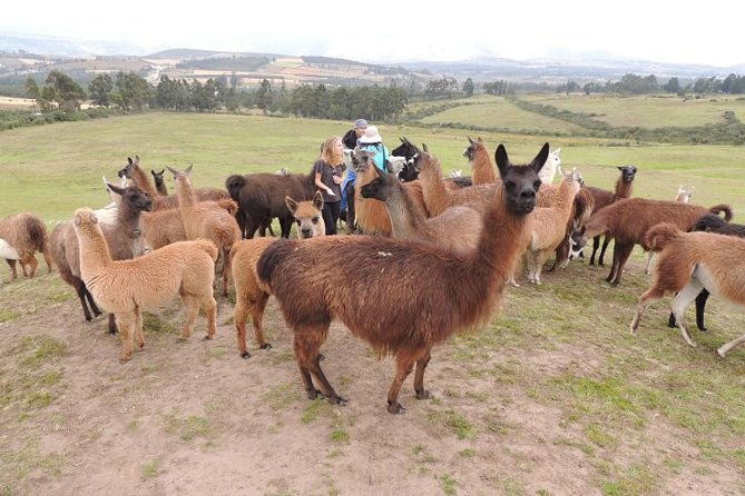 2-days-otavalo-highlights