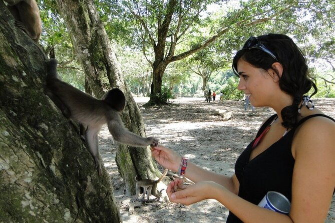 3-days-jungle-tour-expedition-amazonia-in-ecuador-rainforest