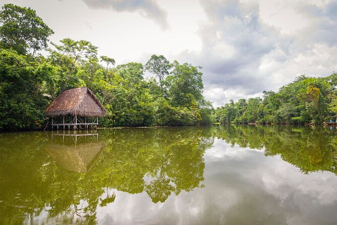 4-day-amazon-jungle-tour-from-iquitos