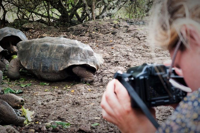 4-days-galapagos-isabela-islands-and-santa-cruz