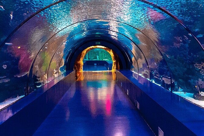 4-hour-guided-antalya-aquarium-tour
