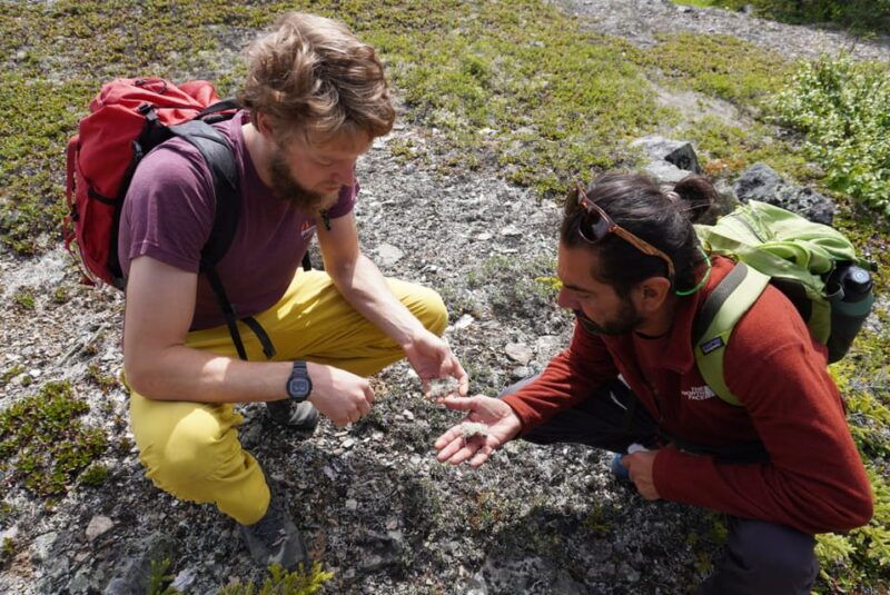 4-hour-off-trail-wilderness-wonders-tour-in-denali