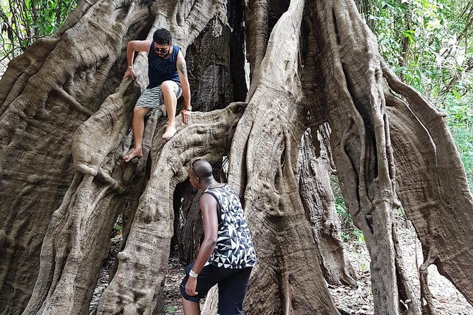5-days-amazon-jungle-adventure-tour