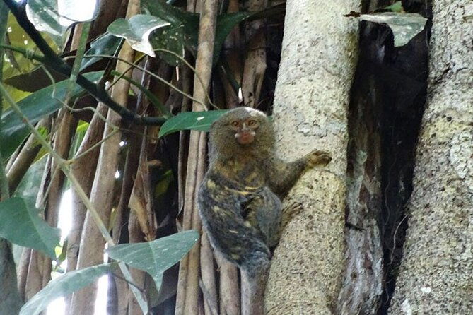 5-days-cuyabeno-amazon-jungle-with-accommodation-in-tucan-lodge