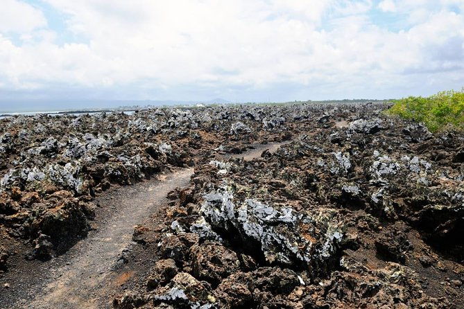 5-days-galapagos-tour-santa-cruz-and-isabela-islands