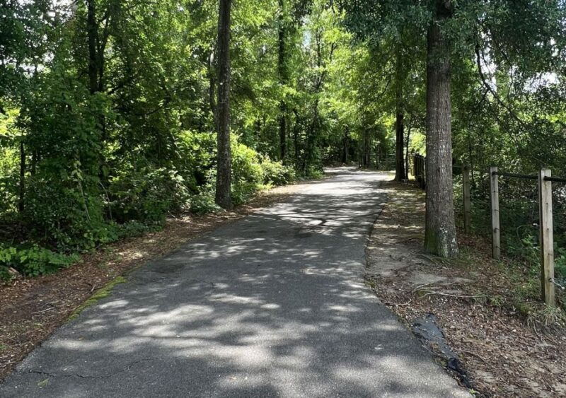5-hour-wilmington-river-to-sea-e-bike-tour