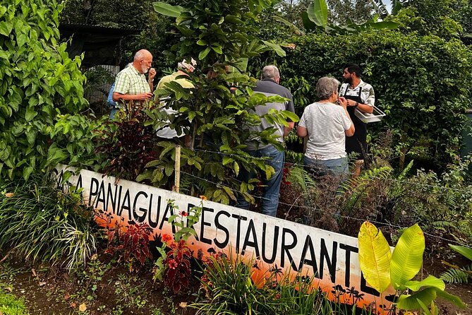 6-course-tropical-rainforest-foodie-adventure
