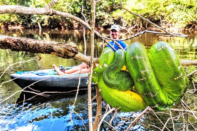 6-day-guided-kayak-expedition-in-the-amazon