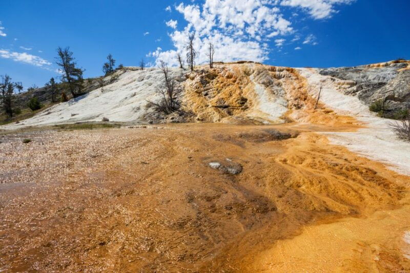 7-day-yellowstone-national-park-rocky-mountain-explorer