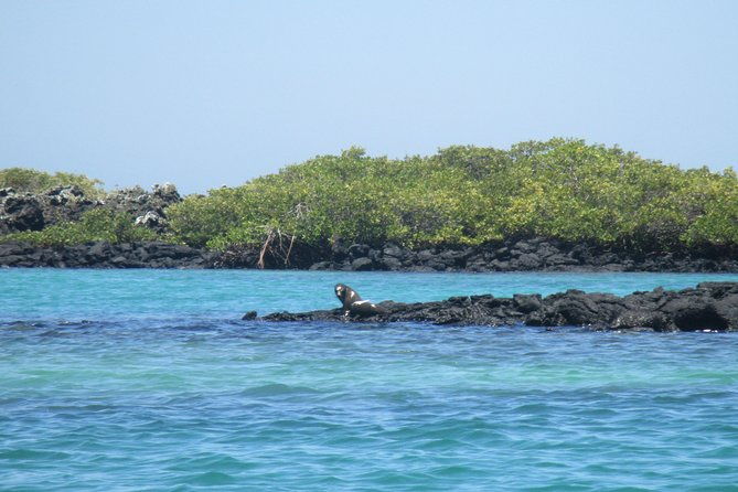 8-day-best-of-quito-and-galapagos-santa-cruz-isabela-unhinhabited-island