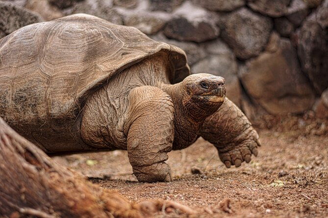 8-day-full-pack-galapagos-multi-sport-adventure-4-5-island-tour