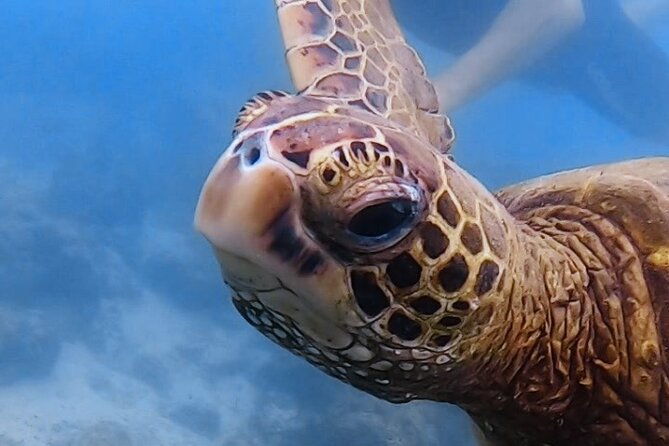 8-days-and-7-nights-private-tour-in-galapagos-islands