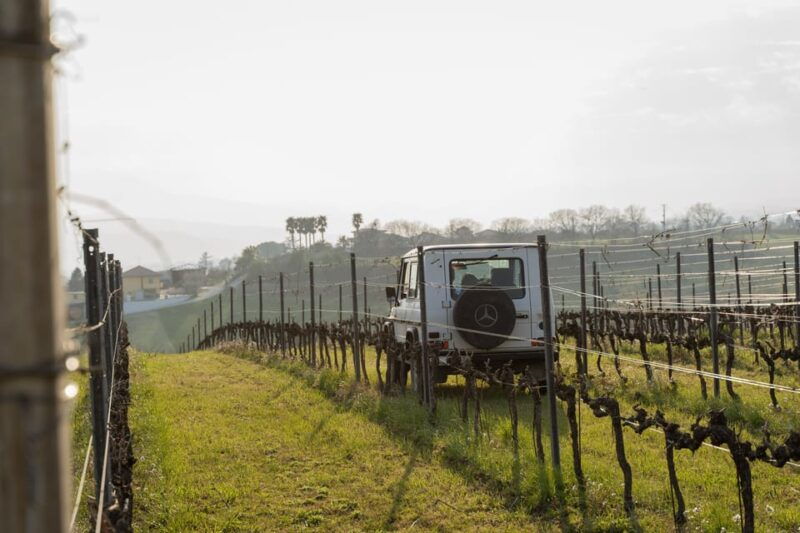 abruzzo-vineyard-jeep-tour-with-tastings