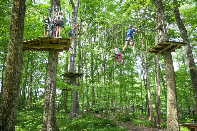 aerial-adventure-park-admission