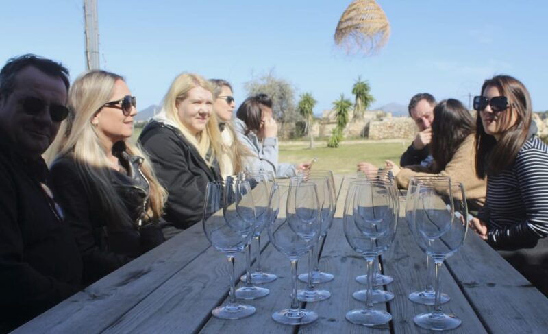 alcudia-can-picafort-guided-vineyard-visit-and-wine-tasting